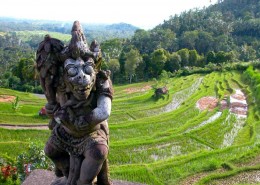 Как отдохнуть на Бали: основные развлечения и преимущества острова. Индонезия → Интересные маршруты