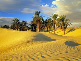 Обстановка на курортах Туниса спокойная