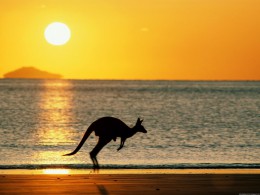 Австралия: путь от Мельбурна до Аделаиды. Австралия