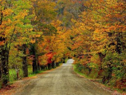 Где самый красивый осенний пейзаж в Новой Англии. США