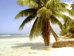 Инвестиции растут – Доминиканская республика ждет туристов. Доминикана