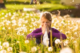 Туристам с аллергией и астмой: как избежать осложнений в путешествии. Лечение и SPA