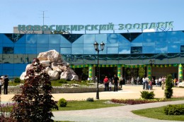 Зоопарк Новосибирска и океанариум Воронежа вошли в число лучших в Европе. Россия