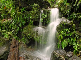 Водопад Мидлхэм. Доминика