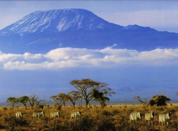 Отдых в Танзании