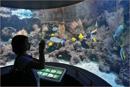 Океанариум "Подводный мир". Развлечения