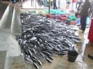 Рыбный рынок на Мальдивах, Острова, Мальдивы
