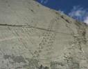 Стена динозавров, Сукре, Боливия