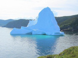 Аллея айсбергов. Ньюфаундленд и Лабрадор → Природа