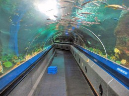Океанариум — Подводный мир - Underwater World. Малайзия → о.Лангкави → Развлечения