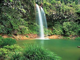 Штат Сабах. о.Борнео → Природа