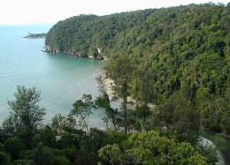 Национальный парк Бако. о.Борнео → Природа