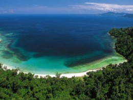 Национальный парк Пулау Тига. о.Борнео → Природа