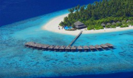 Атолл Фаафу. Мальдивы → Природа