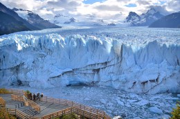 Ледник Перито-Морено. Природа