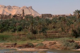 Оазис Дахля. Египет → Сафага → Природа