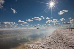 Соленое озеро Баскунчак. Астраханская область → Природа