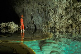 Пещера Лечугия. Штат Нью-Мехико → Природа