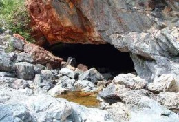 Пещеры Корнер Брук. Ньюфаундленд и Лабрадор → Природа
