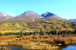 Национальный парк Врангеля и Святого Ильи. Аляска → Природа
