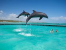 Остров Дельфинов, Пунта Кана, Доминикана