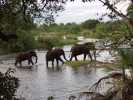 Национальный парк Замбези, Водопад Виктория, Зимбабве