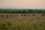 Национальные парки и заповедники Кении, Кения