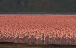 Озера, Кения