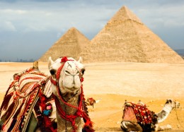 Зачем стоит поехать в Египет отдохнуть?