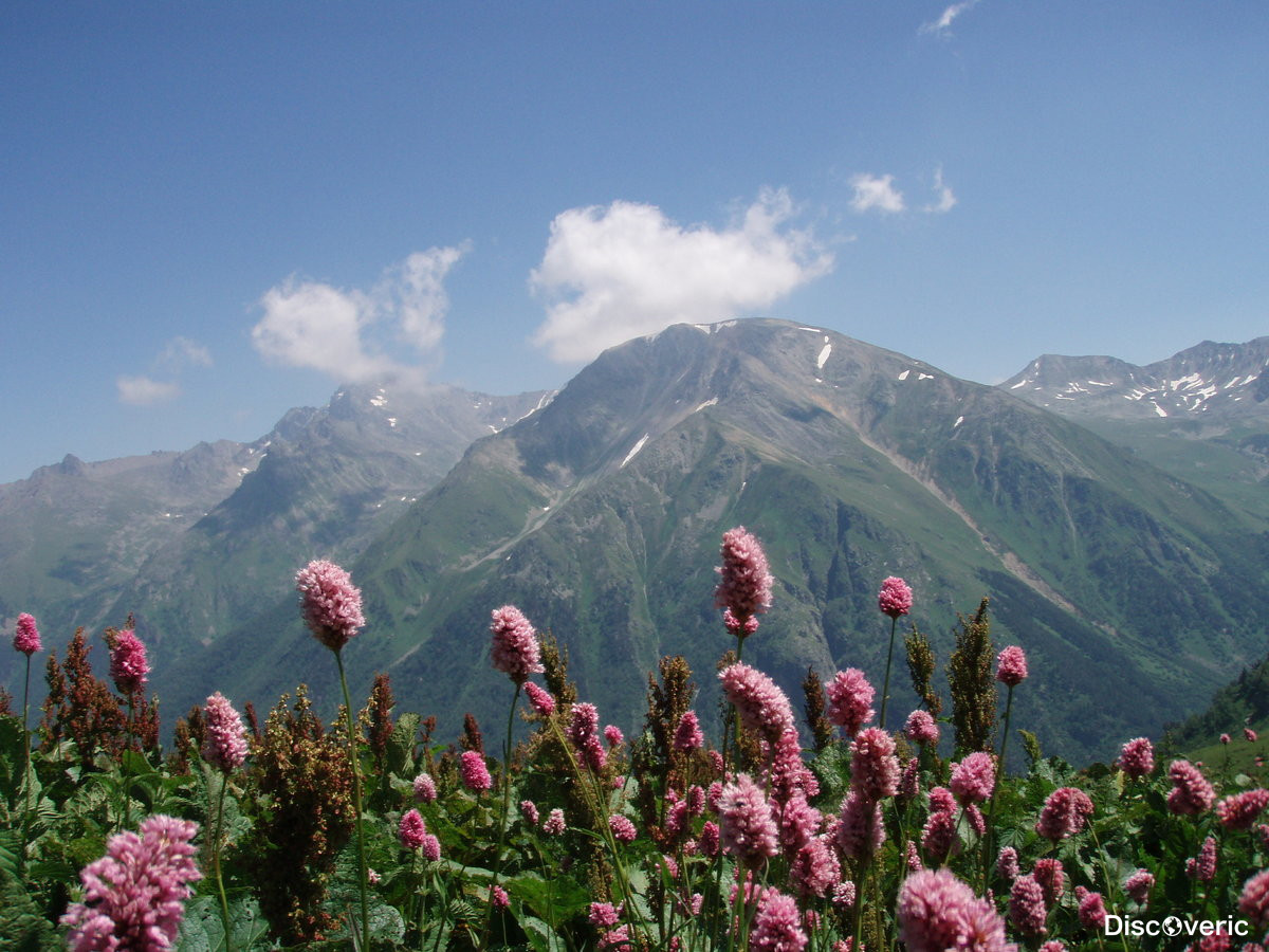 Плюсы отдыха на Кавказе
