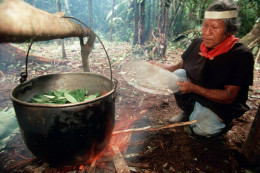 Особенности ритуала аяхуаски	
. Эквадор