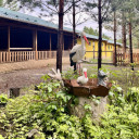 Преимущества отдыха на экоферме