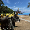 Экскурсии Пхукета и Паттайи: чем отличаются и что выбрать туристу