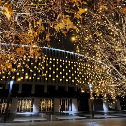 Выходные и праздники в Краснодаре — советы туристам: где остановиться и что посмотрет