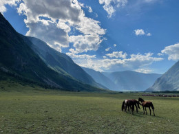 Алтай без лишних забот: как подготовка меняет впечатление от поездки