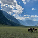 Алтай без лишних забот: как подготовка меняет впечатление от поездки