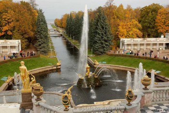 Место жительства: Санкт-Петербург