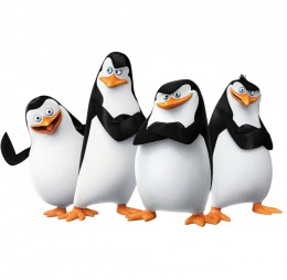 Пингвины пытались сбежать из зоопарка в Дании. Дания
