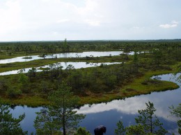 Национальный парк Кемери. Латвия → Юрмала → Природа