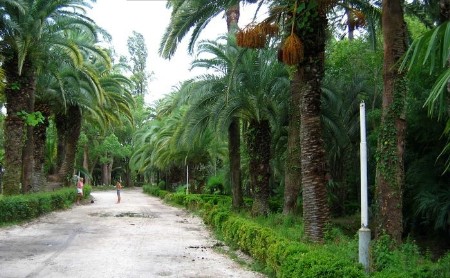 Приморский парк. Гагра → Архитектура