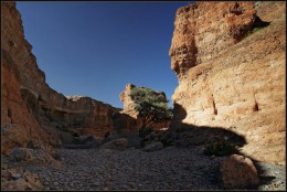Сесрием Каньон. Пустыня Намиб → Природа