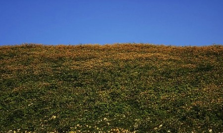 Гора Мамзишха. Гагра → Природа