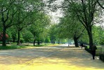 Гайд-парк, Лондон, Великобритания