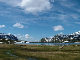 Высокогорное плато Хардангервидда. Норвегия → Рюкан → Развлечения