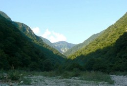 Жоэкварское ущелье. Абхазия → Гагра → Природа