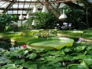 Ботанический сад, Санкт-Петербург, Россия