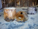 Ленинградский зоопарк, Санкт-Петербург, Россия