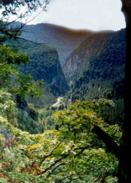 Ущелье реки Цихерва. Абхазия → Гагра → Природа