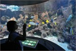 Океанариум Подводный мир, Сентоза, Сингапур