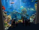 Океанариум Подводный мир, Сентоза, Сингапур